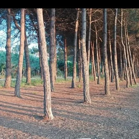 Holidayhome Manetta Tra Mare E Natura Apartment Pineto