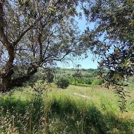 Holidayhome Manetta Tra Mare E Natura 公寓