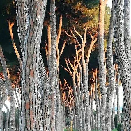 公寓 Holidayhome Manetta Tra Mare E Natura 皮内托