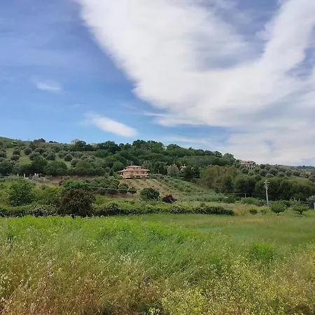 公寓 Holidayhome Manetta Tra Mare E Natura 皮内托