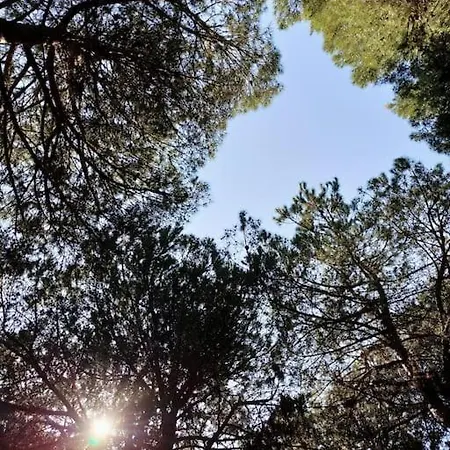 Manetta Tra Mare E Natura