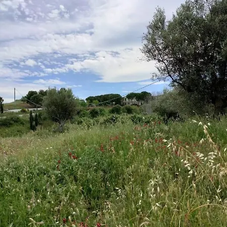Manetta Tra Mare E Natura Apartmán