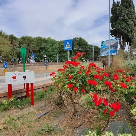 Manetta Tra Mare E Natura Apartamento
