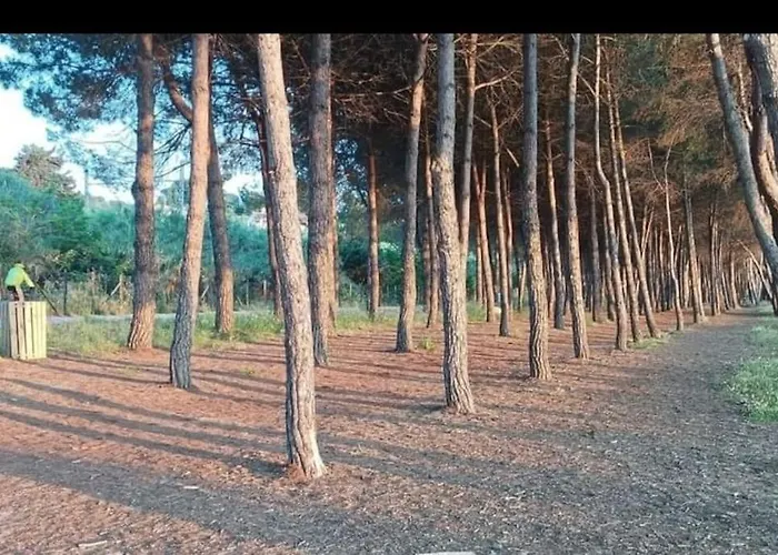 Holidayhome Manetta Tra Mare E Natura Apartment Pineto