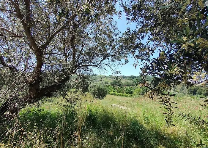 Holidayhome Manetta Tra Mare E Natura Apartment