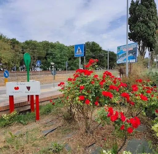 Holidayhome Manetta Tra Mare E Natura Apartment