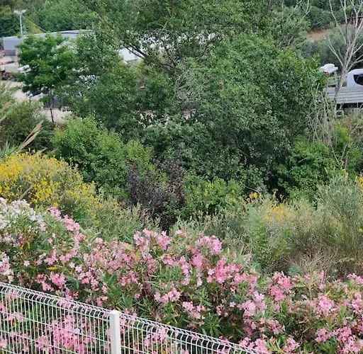 Holidayhome Manetta Tra Mare E Natura Apartment